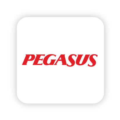 pegasus